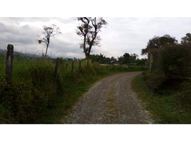  Terreno (Parcela) en venta en Armenia, Quindio, Armenia