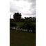  Land for sale in Salento, Quindio, Salento, Quindio, Colombia