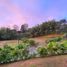  Land for sale in Salento, Quindio, Salento, Quindio, Colombia