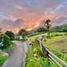  Land for sale in Salento, Quindio, Salento, Quindio, Colombia