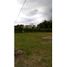  Land for sale in Salento, Quindio, Salento, Quindio, Colombia