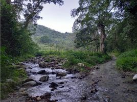 Estudio Villa en venta en Quinta de San Pedro Alejandrino, Santa Marta, Santa Marta