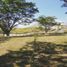  Land for sale in Cartago, Valle Del Cauca, Cartago