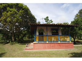  Terreno (Parcela) en venta en La Tebaida, Quindio, La Tebaida