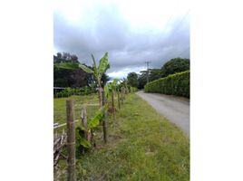  Terreno (Parcela) en venta en La Tebaida, Quindio, La Tebaida