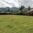  Land for sale in El Carmen De Viboral, Antioquia, El Carmen De Viboral