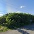  Land for rent in Merida, Yucatan, Merida