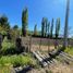 2 Bedroom House for sale in Rauco, Maule, Rauco, Curico