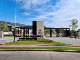  Grundstück zu verkaufen in Zapopan, Jalisco, Zapopan, Jalisco