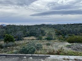  Land for sale in Magallanes Y Antartica Chilena, Punta Arenas, Magallanes, Magallanes Y Antartica Chilena