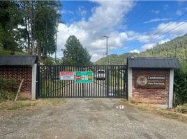  Land for sale in Los Rios, Mariquina, Valdivia, Los Rios