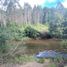  Terrain for sale in Mariquina, Valdivia, Mariquina