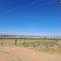  Land for sale in Guerrero Chihuahua, Guerrero
