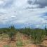  Land for sale in Guerrero Chihuahua, Guerrero
