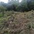  Land for sale in Manizales, Caldas, Manizales