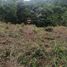  Land for sale in Manizales, Caldas, Manizales