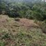  Land for sale in Manizales, Caldas, Manizales