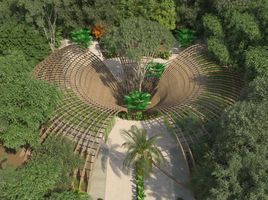  Land for sale in Cozumel, Quintana Roo, Cozumel, Quintana Roo