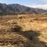  Grundstück zu verkaufen in Joquicingo, Mexico, Joquicingo