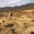  Grundstück zu verkaufen in Joquicingo, Mexico, Joquicingo