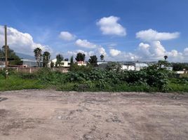  Land for sale in Tarimbaro, Michoacan, Tarimbaro