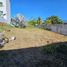  Terreno (Parcela) en venta en Carmen, Campeche, Carmen