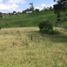  Land for sale in Marinilla, Antioquia, Marinilla