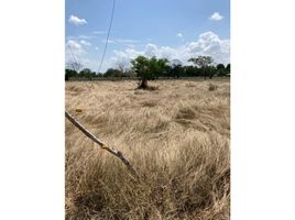  Land for sale in Cordoba, Monteria, Cordoba