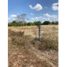  Land for sale in Cordoba, Monteria, Cordoba