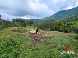  Land for sale in Pereira, Risaralda, Pereira