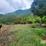  Land for sale in Pereira, Risaralda, Pereira