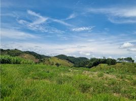 Estudio Casa en venta en Colombia, Maceo, Antioquia, Colombia