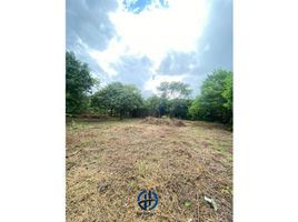  Land for sale in Magdalena, Santa Marta, Magdalena