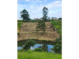  Terreno (Parcela) en venta en Popayan, Cauca, Popayan