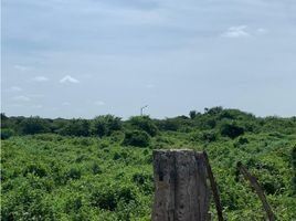  Land for rent in Atlantico, Barranquilla, Atlantico