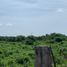  Land for rent in Barranquilla, Atlantico, Barranquilla