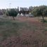  Land for sale in Santa Maria, Cordoba, Santa Maria