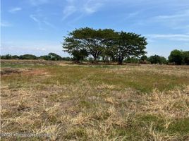  Land for sale in Tolima, Prado, Tolima