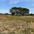  Land for sale in Prado, Tolima, Prado