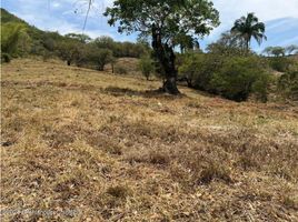  Land for sale in Tolima, Prado, Tolima