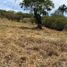  Land for sale in Prado, Tolima, Prado