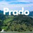  Land for sale in Prado, Tolima, Prado