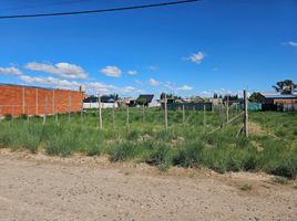  Terreno (Parcela) en venta en Rio Negro, General Roca, Rio Negro