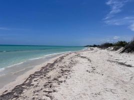  Grundstück zu verkaufen in Progreso, Yucatan, Progreso