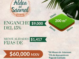 在Dzilam Gonzalez, Yucatan出售的 土地, Dzilam Gonzalez