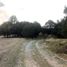在Tlaxcala出售的 土地, Nanacamilpa De Mariano Arista, Tlaxcala