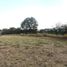 在Tlaxcala出售的 土地, Nanacamilpa De Mariano Arista, Tlaxcala