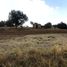  Land for sale in Nanacamilpa De Mariano Arista, Tlaxcala, Nanacamilpa De Mariano Arista, Tlaxcala