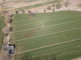 Studio House for sale in Durango, Lerdo, Durango