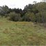  Land for sale in Rionegro, Antioquia, Rionegro